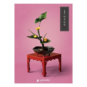 �J�^���O�M�t�g ���t �͂�͂�